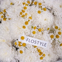 kustovaya hrizantema polevaya romashka 